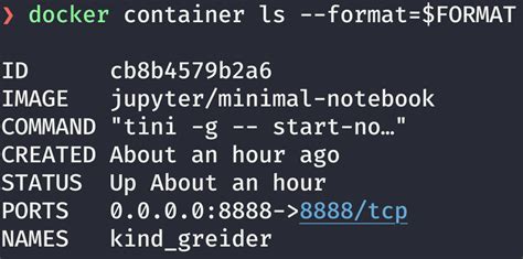 docker container ls format.